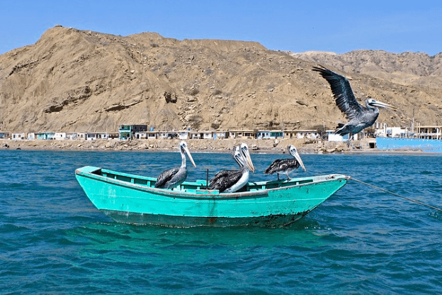 Cabo blanco beach